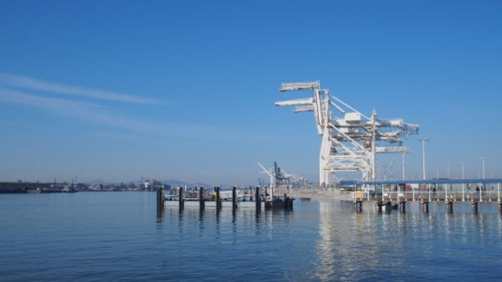 货柜码头，Port of Oakland Crane Horses