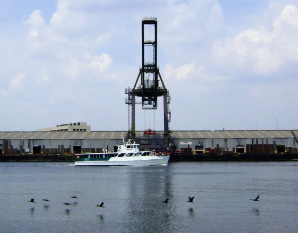 货柜码头,M/V Sam Houston and cormorants, from Brady's Island 0530101447