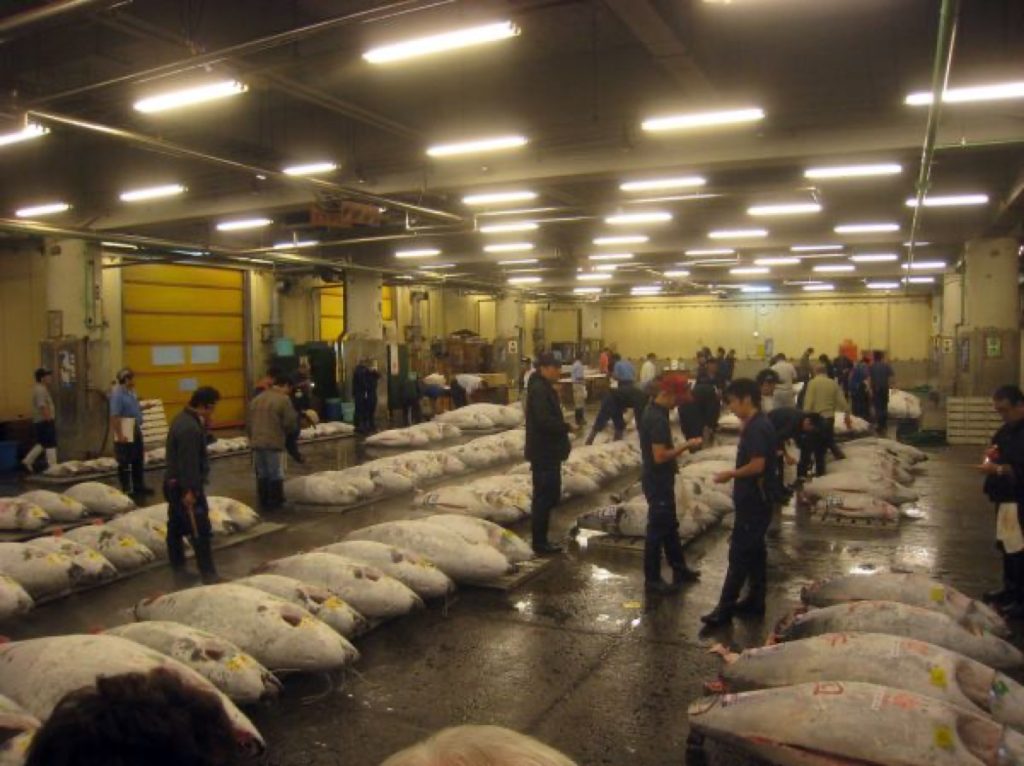 货柜装卸,Day 5 - Tsukiji Fish Market Tuna Auction