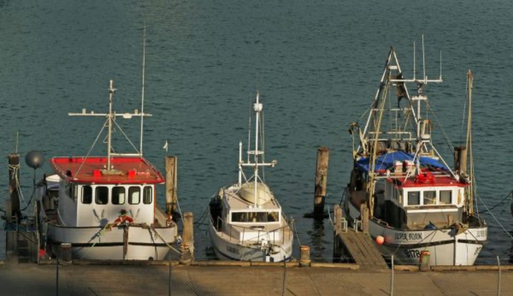装货月台，Fishing boats quayside.