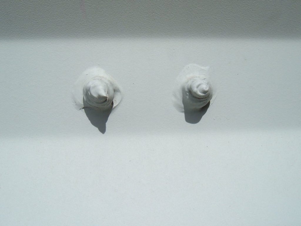 港口集装箱货柜，overpainted bolts inside shipping container door